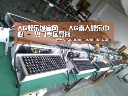 AG娱乐城案例展示一