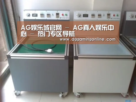 AG娱乐城案例展示二