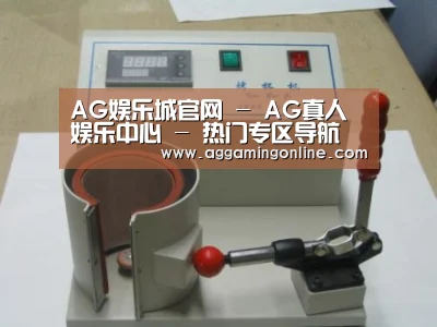 AG娱乐城案例展示六