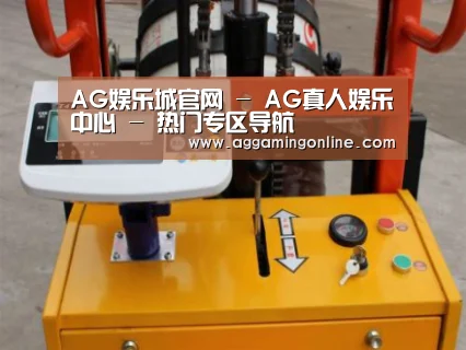AG娱乐城案例展示三(图1)
