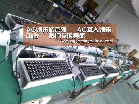 AG娱乐城案例展示一(图1)
