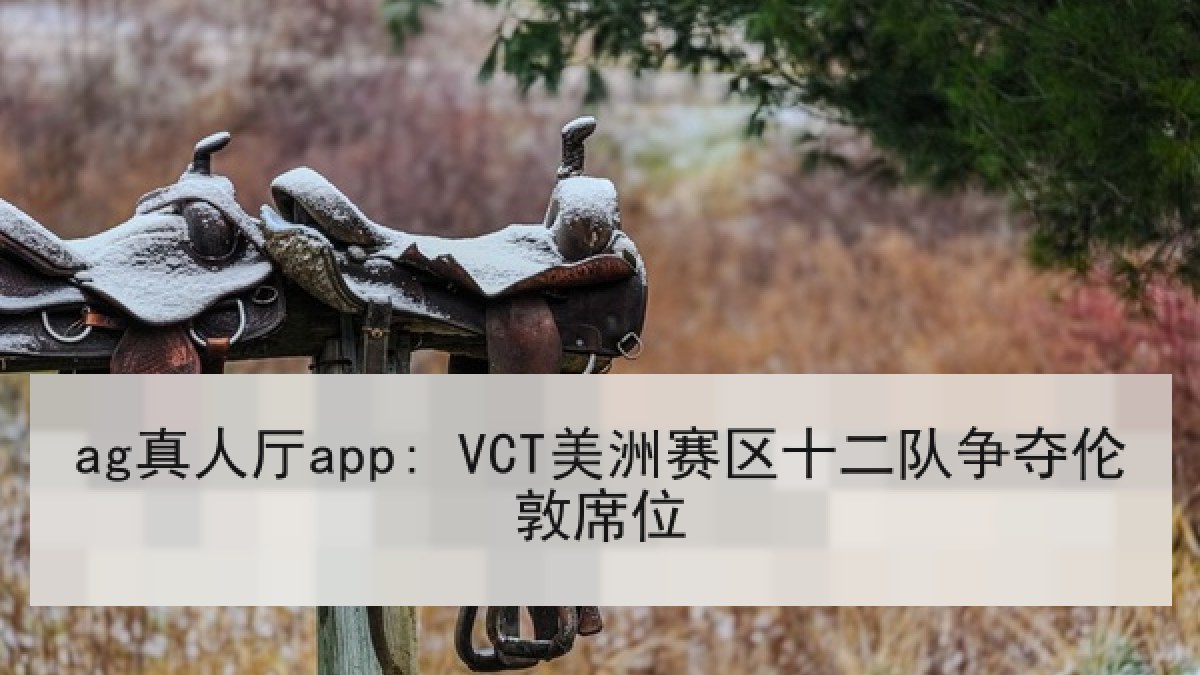 ag真人厅app: VCT美洲赛区十二队争夺伦敦席位