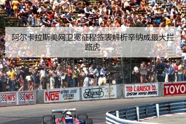 a-er-ka-la-si-mei-wang-wei-mian-zheng-cheng-qian-biao-jie-xi-xin-na-cheng-zui-da-lan-lu-hu-2-438.jpg