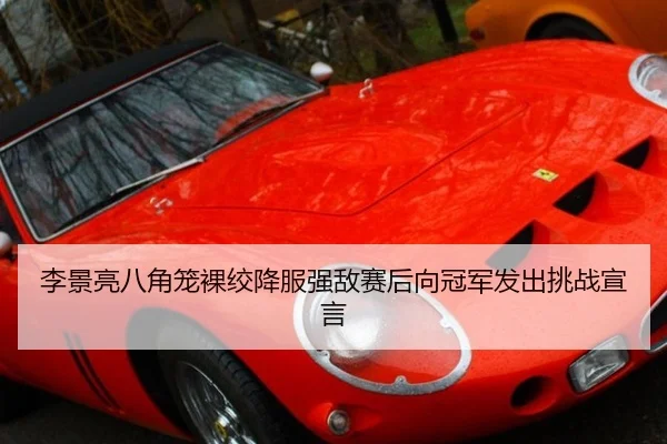 李景亮八角笼裸绞降服强敌赛后向冠军发出挑战宣言